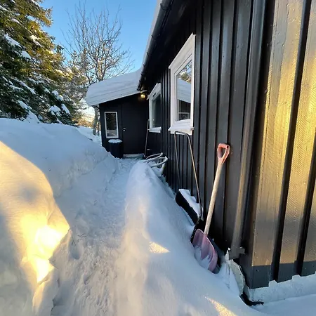 Koselig Hytte, Med Ski-in Out
