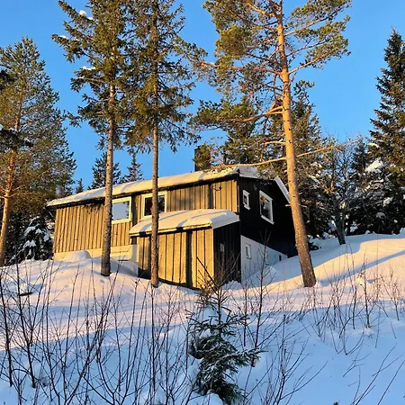 Holiday home Koselig Hytte, Med Ski-in Out Lifjell