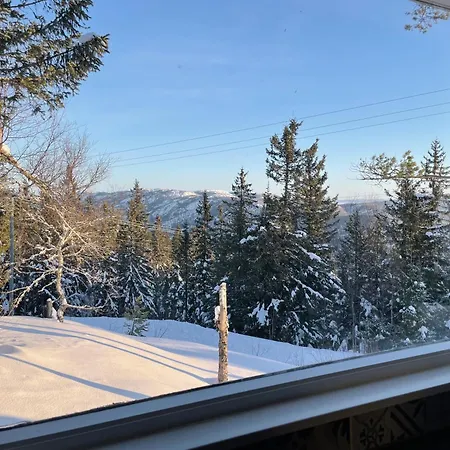Koselig Hytte, Med Ski-in Out Lifjell