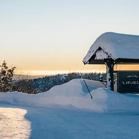 Koselig Hytte, Med Ski-in Out Feriehus Lifjell