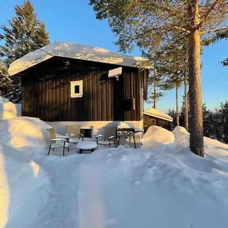 Koselig Hytte, Med Ski-in Out Lifjell
