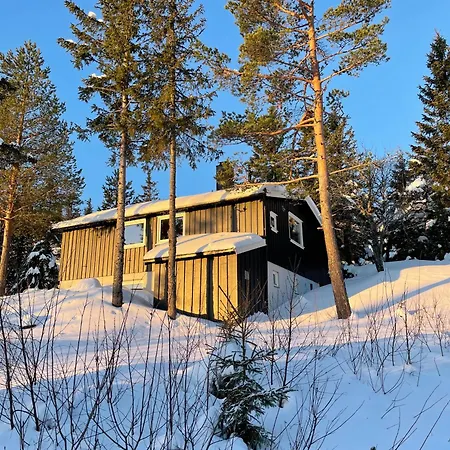 Дом отдыха Koselig Hytte, Med Ski-in Out Lifjell
