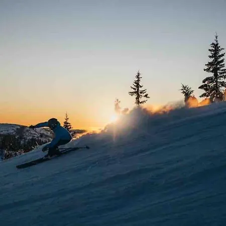 Дом отдыха Koselig Hytte, Med Ski-in Out Lifjell